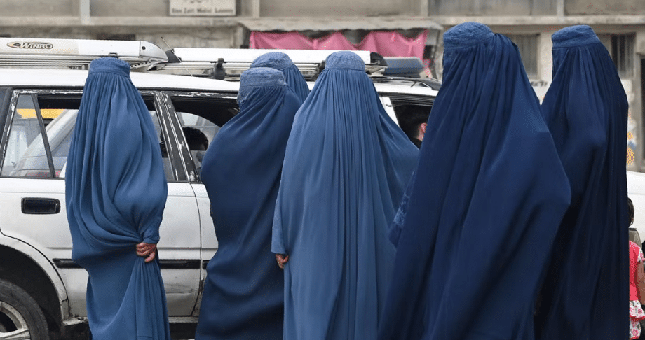 41 men appointed on seats reserved for lady health workers in Mardan