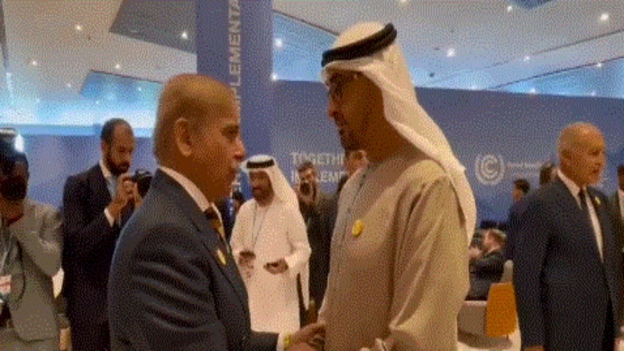 Shehbaz meets with world leaders during climate change conference
