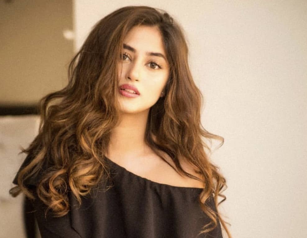‘Marriage is a risk, I prefer love over arranged’: Sajal Aly opens up about tying the knot