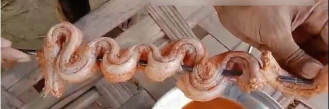 Video: Police in Rajanpur kill, eat snake, say it tastes like fish