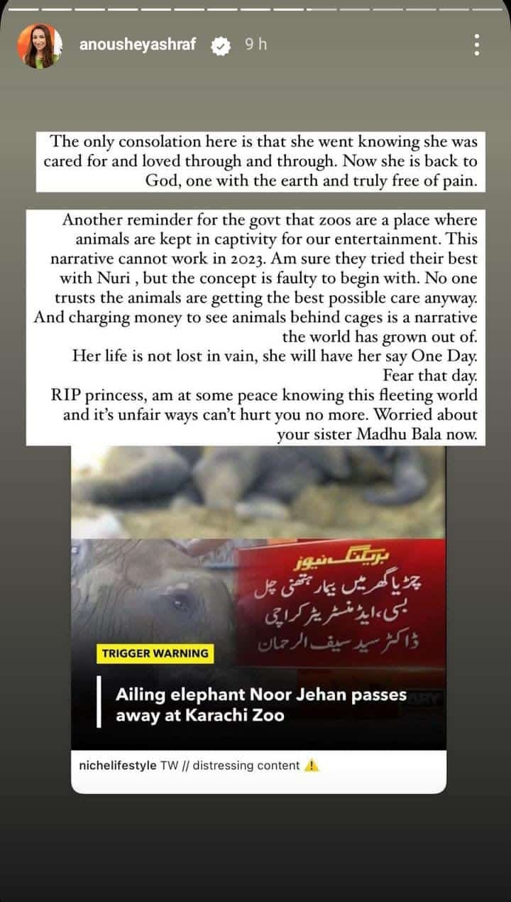 ‘Don’t give Pakistan any animals’: Nadia Jamil slams Sri Lanka’s offer to send elephants