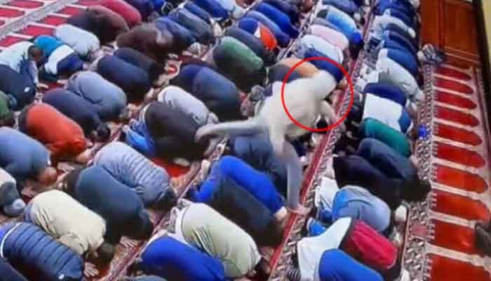 Islamophobia? Imam stabbed while leading Fajr prayers in American mosque