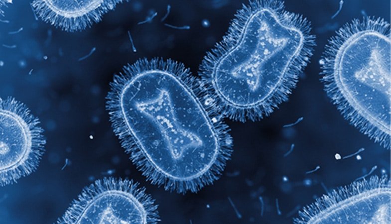 Hospital screenings to be sped up as fear of monkeypox spreads 