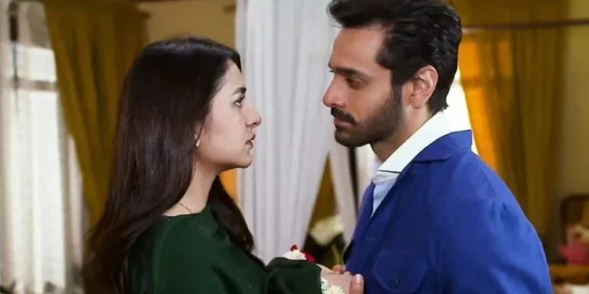 Ranking the most absurd plot twists in Tere Bin