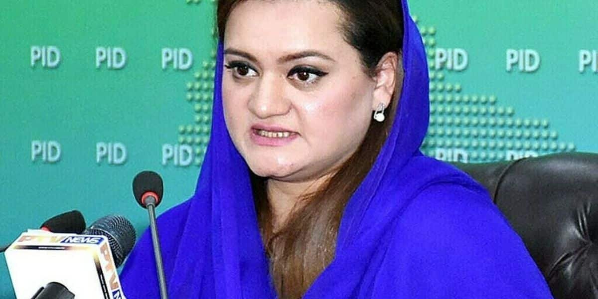 ‘3 billion allocated to finance films, health insurance for artists’: Marriyum Aurangzeb