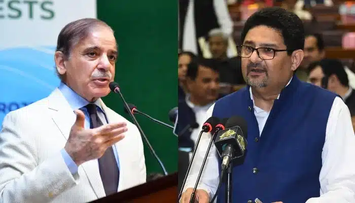 Not involved in leg pulling business, says Miftah Ismail