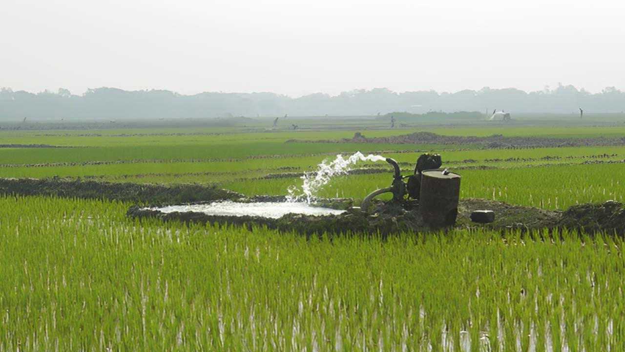 Export-quality rice production at risk: Rising theft incidents targeting water pumps, transformers