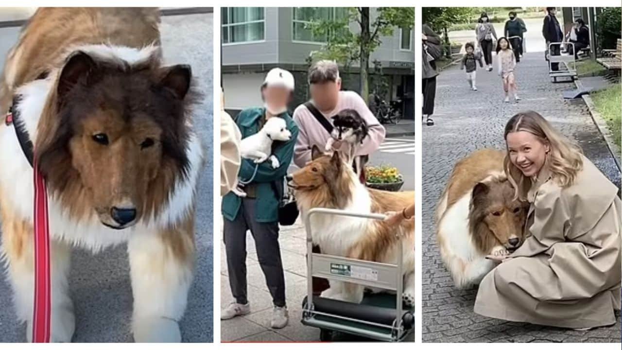 Man buys more than £12,000 dog costume, ventures out to make friends as a dog