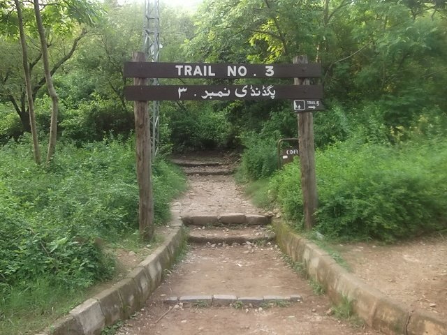 Police arrest suspect behind rape at Islamabad’s Margalla hill hiking trail 