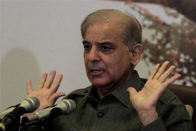 PM Shehbaz says didn’t care about ‘taunts’ of being called establishment’s man