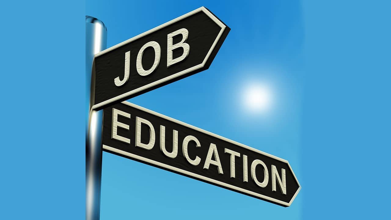 Pakistani-born British neither studying nor working: Government report