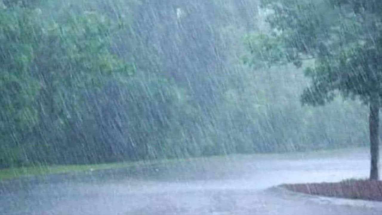 Wet autumn or dry winter? The forecast is here