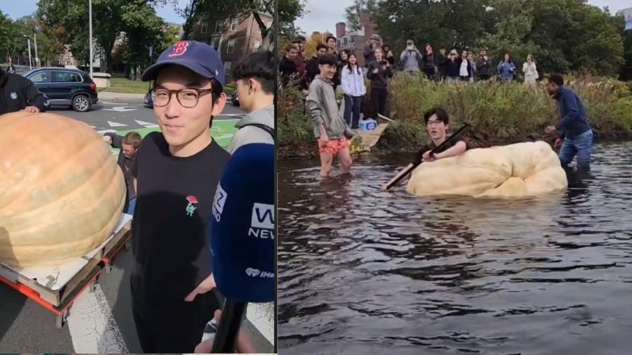 Asian-American Harvard student comes up with hilarious way to raise money for students lab