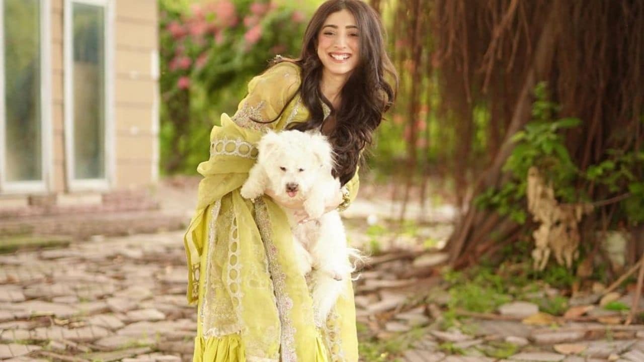 ‘Actors are not prostitutes’: Mariyam Nafees slams stalker sending vulgar messages