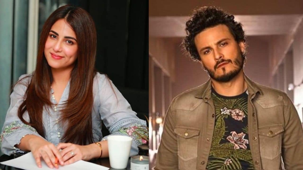 ‘Cry to my lord’: Pakistani celebrities shocked at Gaza hospital bombing