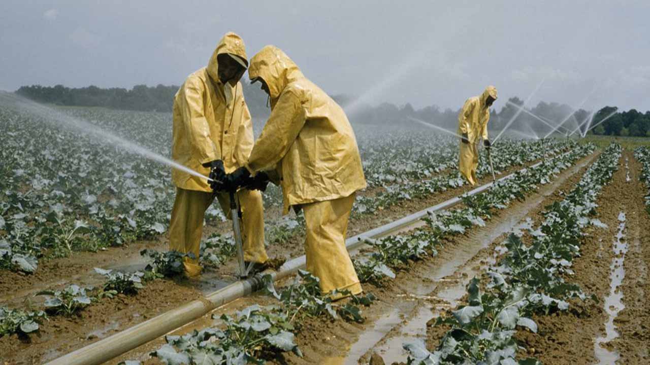 Agricultural boom: Pakistan’s farm exports surge by more than 70%