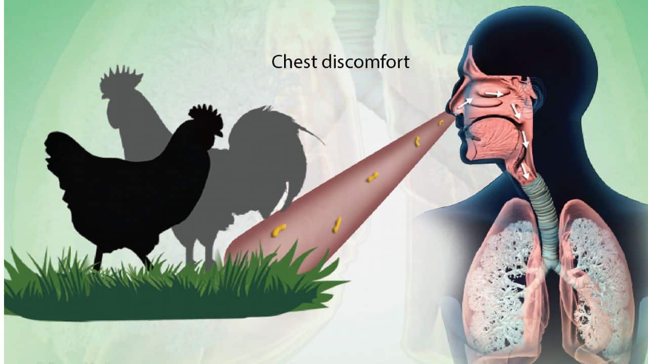 Chief Traffic Officer Amara Athar has good news for women