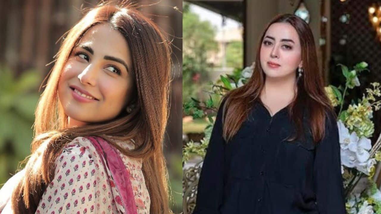 ‘Dangerous and irresponsible’: Ushna Shah calls out Maria B for misusing Palestine activism
