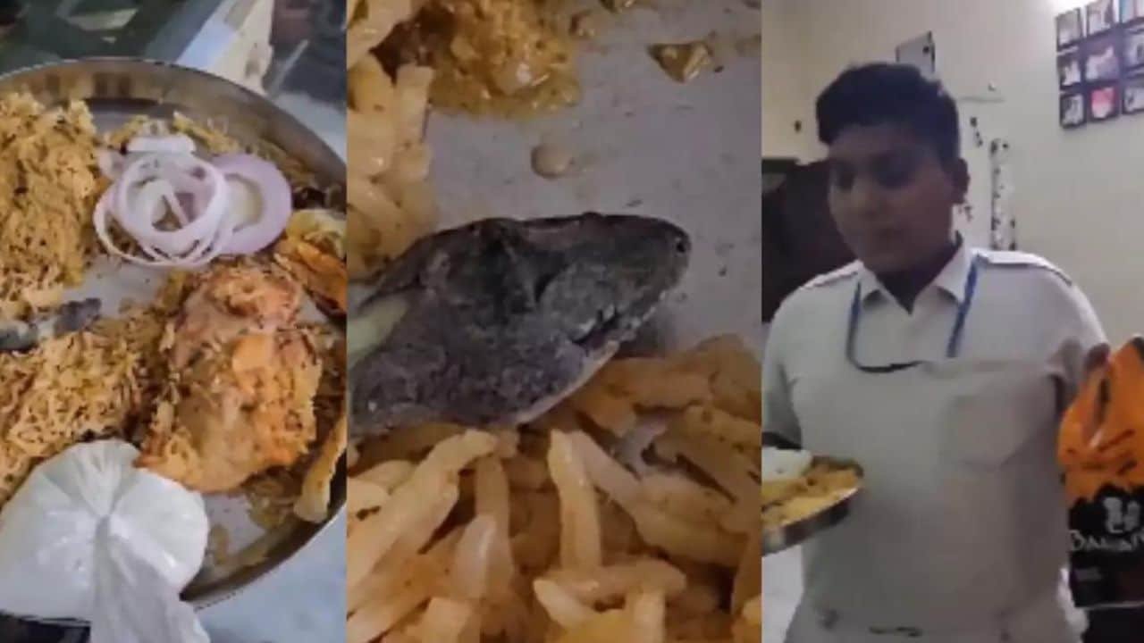 Buy online Biryani, get ‘Chipkali’ free