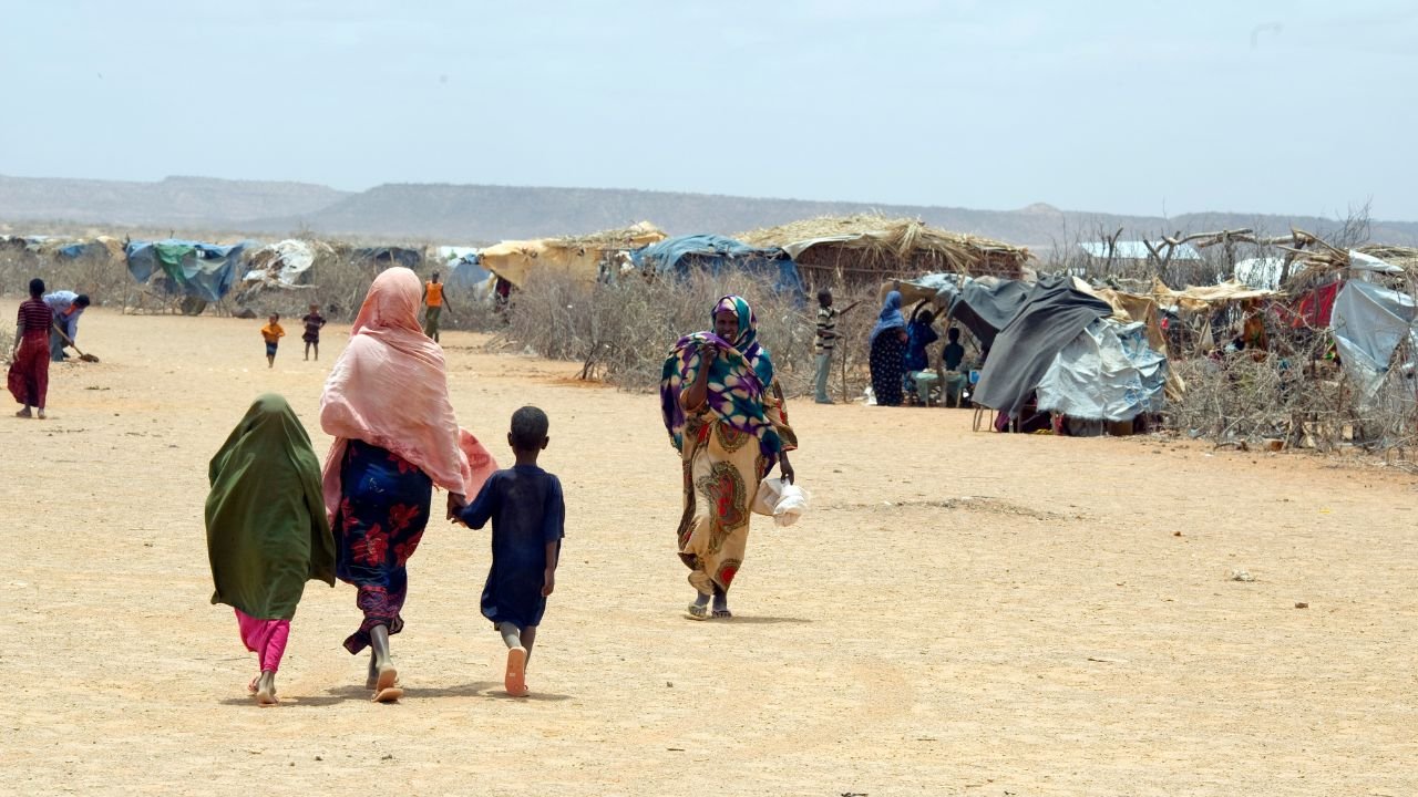 UN migration agency needs $7.9 billion in 2024