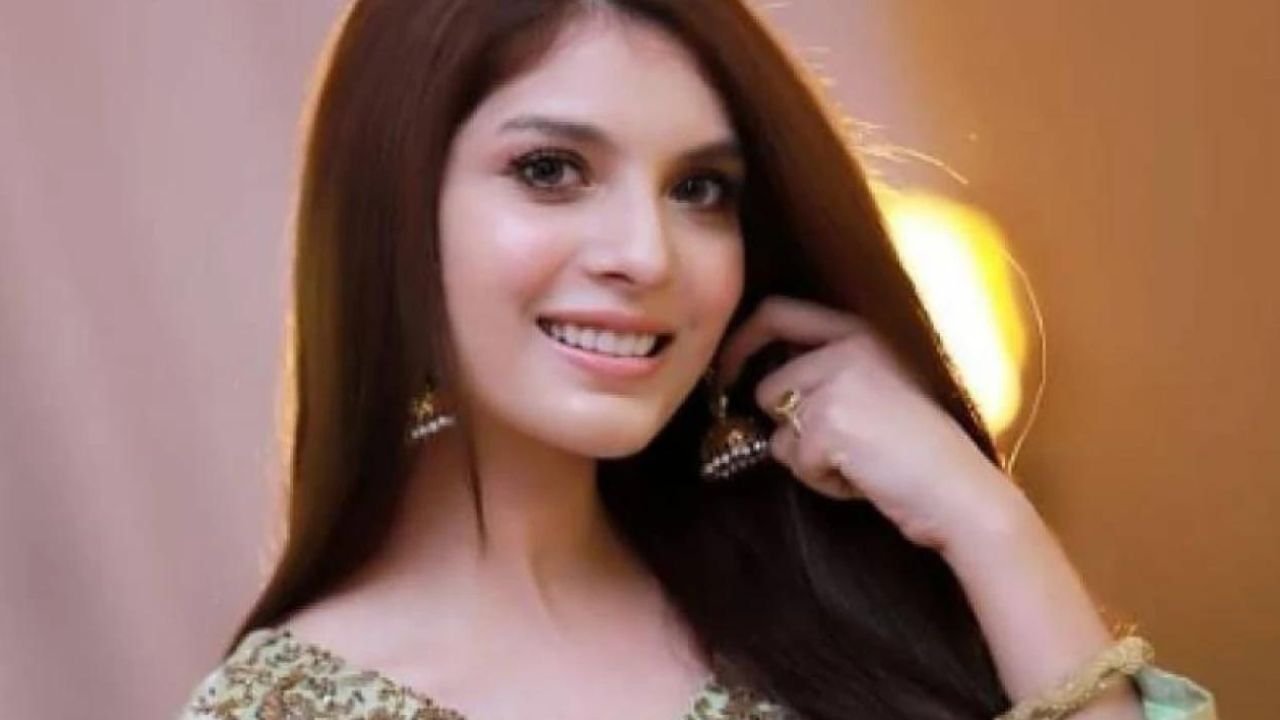 Actress Saeeda Imtiaz says wives change quickly, like prime ministers