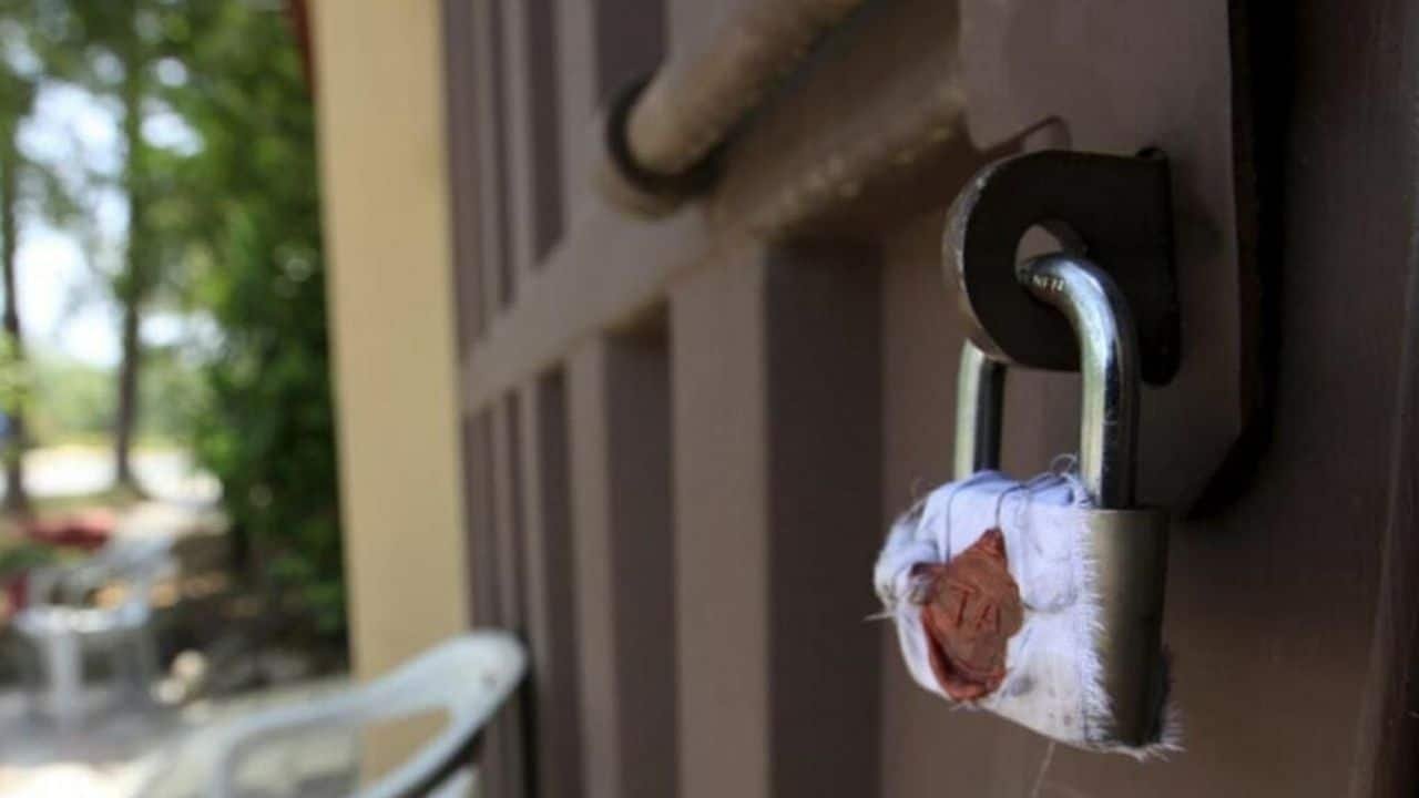 Shah Brothers’ best in business, ICC shares a video of Naseem and Ubaid Shah