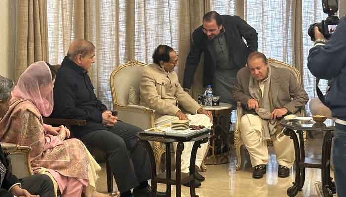 PML-Q decides not to go for seat adjustments with PML-N