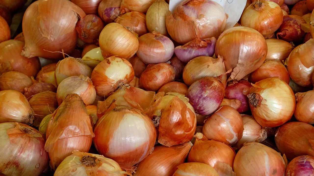 Pakistan imposes minimum export price on onions to tackle soaring local prices