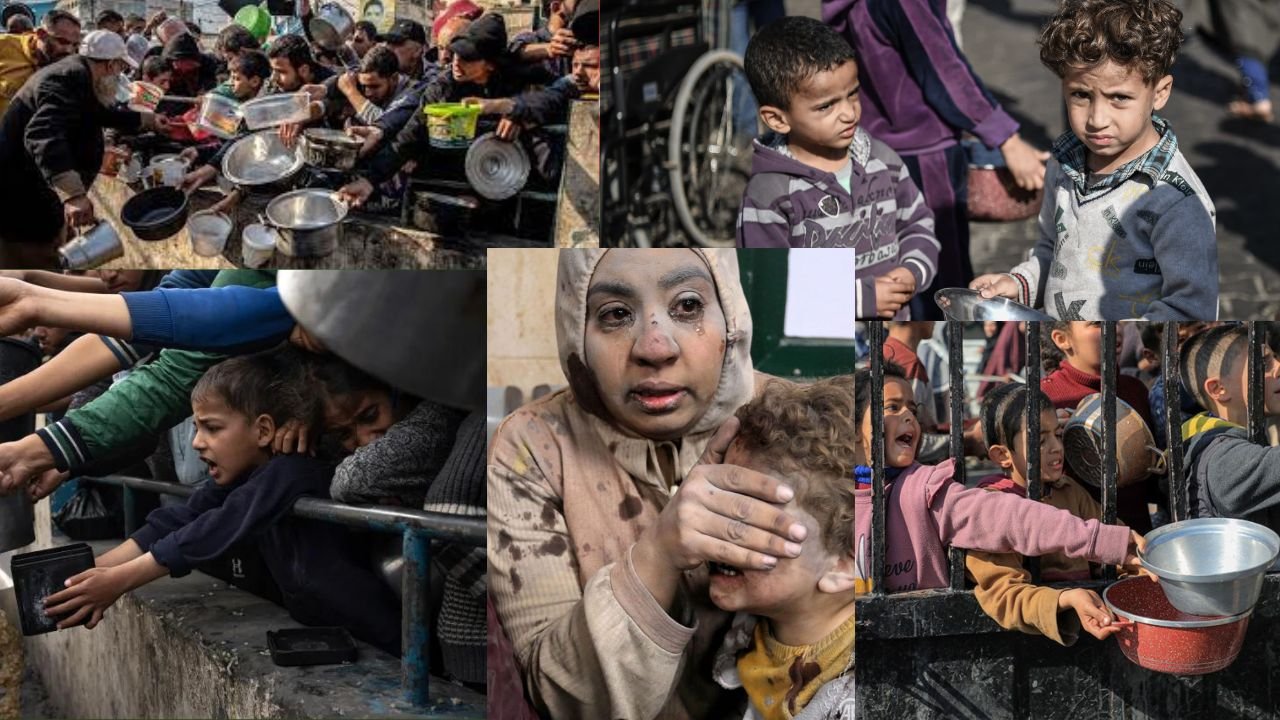 Gaza needs food to be airdropped to prevent starvation