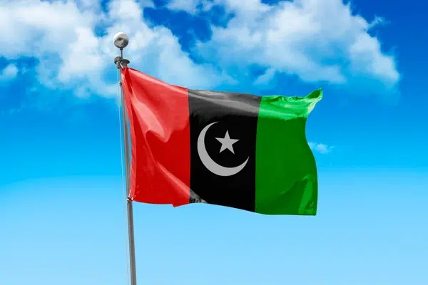 Punjab, KP governors will be from PPP