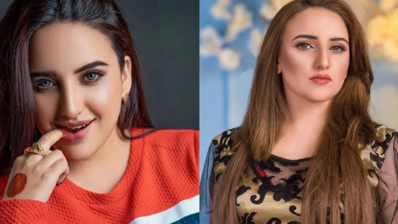 TikTok star Hareem Shah plans to join UK politics, become member of Parliament