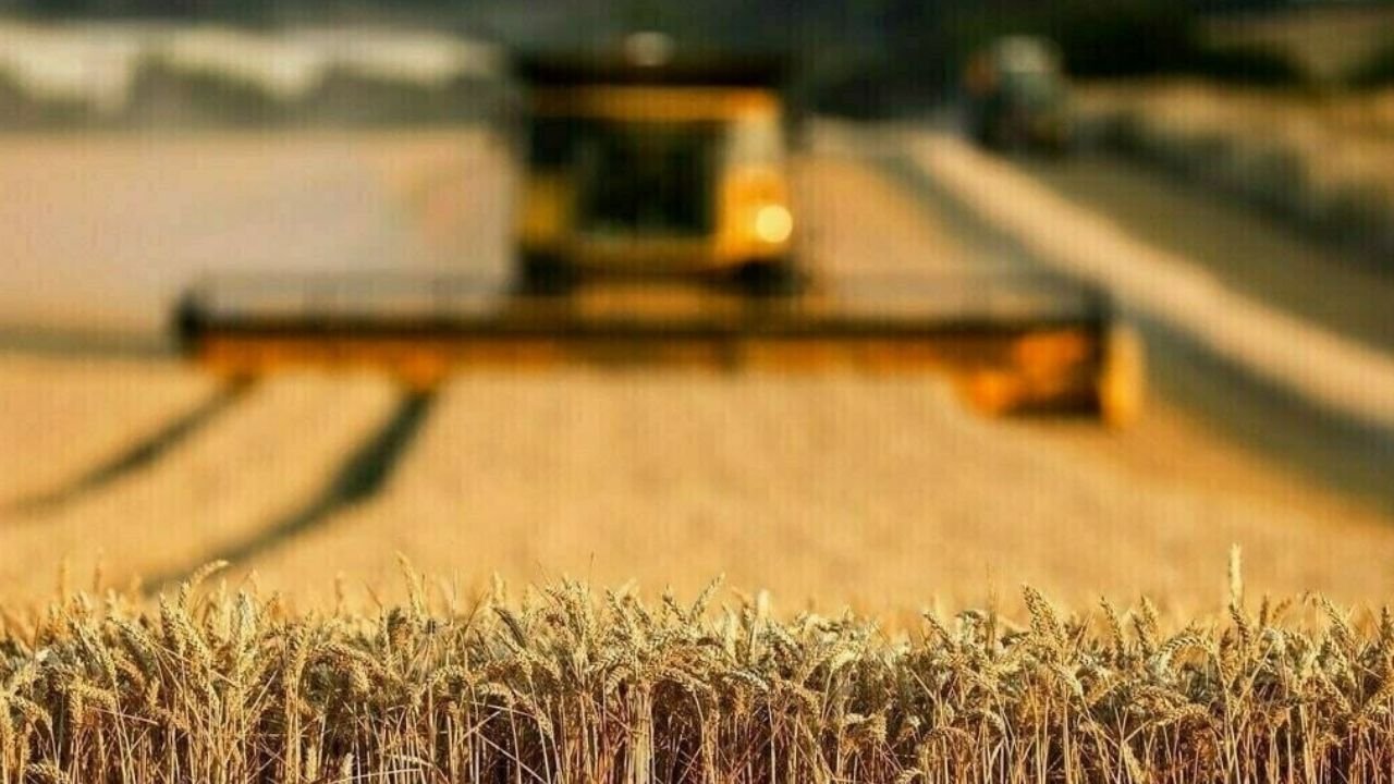 Pakistan facing 30 percent water shortage for sowing season