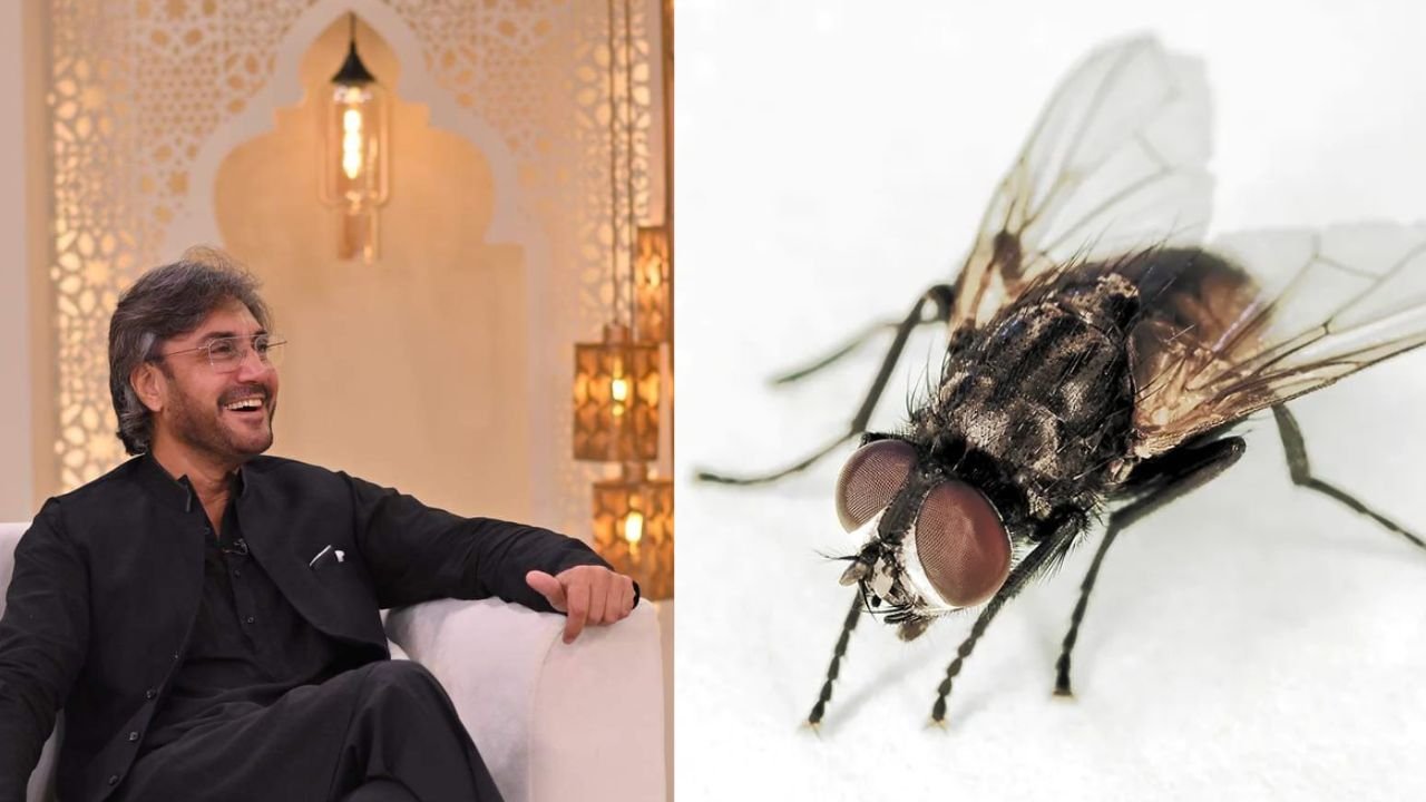 ‘Didn’t mean to cause offence’, Adnan Siddiqui in sticky situation after ‘women like makhis’ comment, apologies