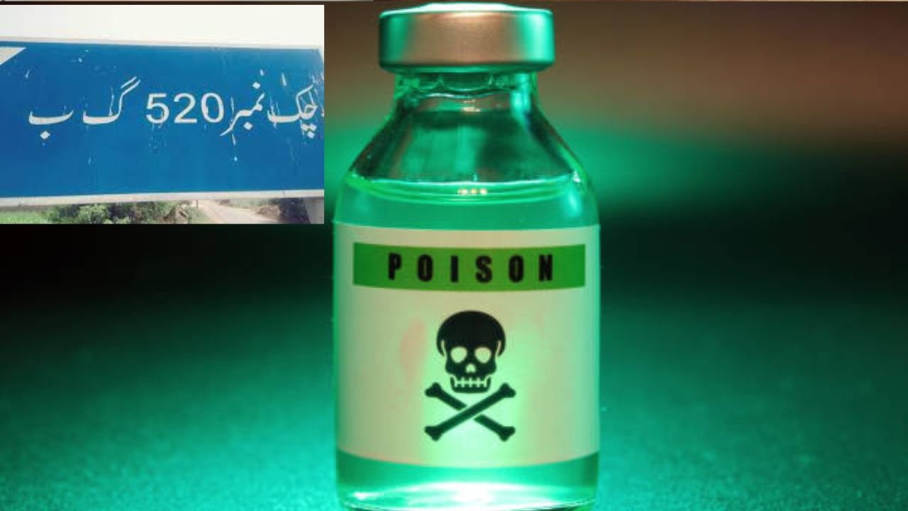 Wife and five children dead after drinking poisoned tea in Toba Tek Singh