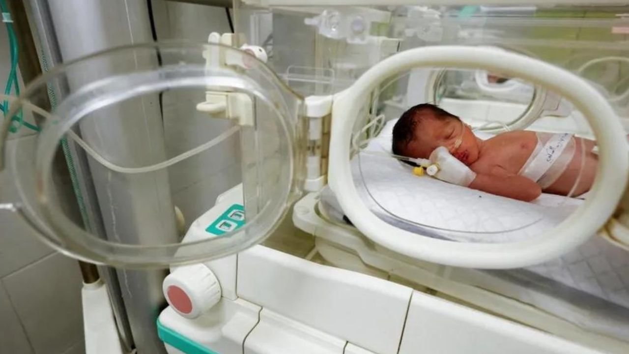 Baby girl born after pregnant mother martyred died