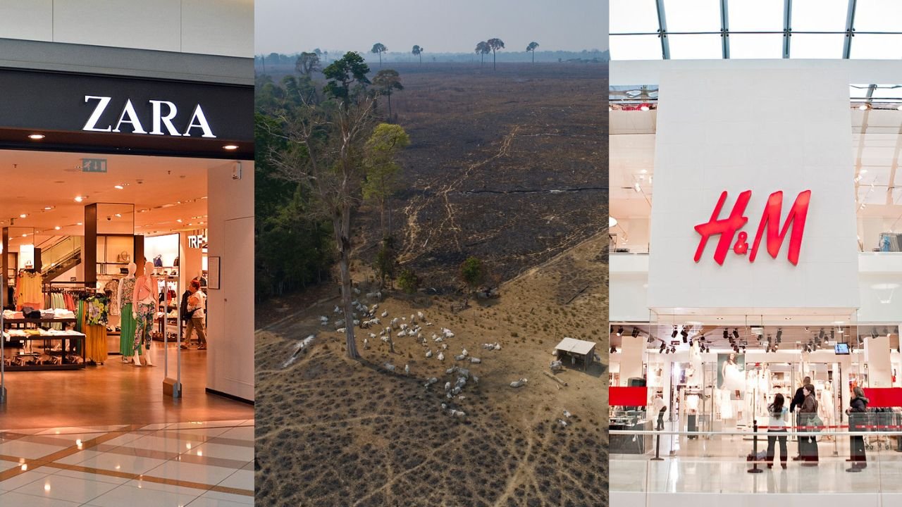 Report links H&M, Zara to environmental destruction in Brazil