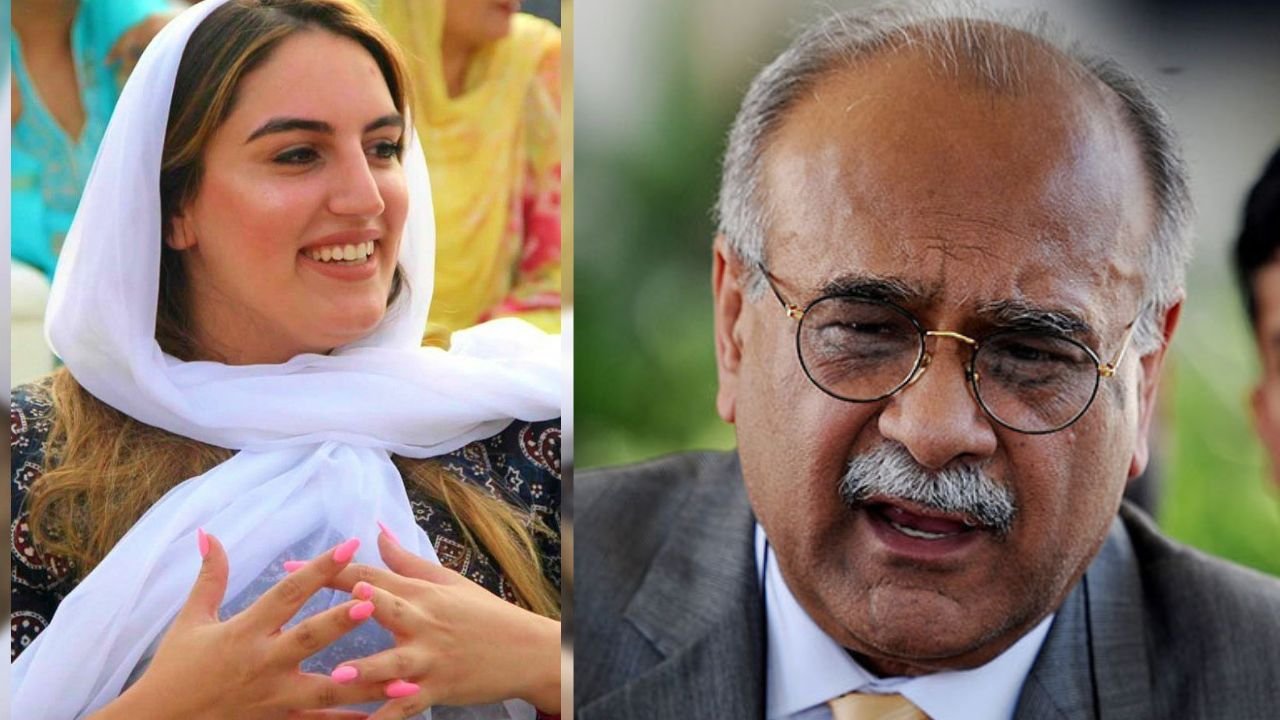 Bakhtawar Bhutto calls Najam Sethi a fraudster