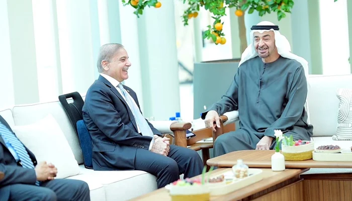 UAE allocates $10 billion to expand investment in Pakistan