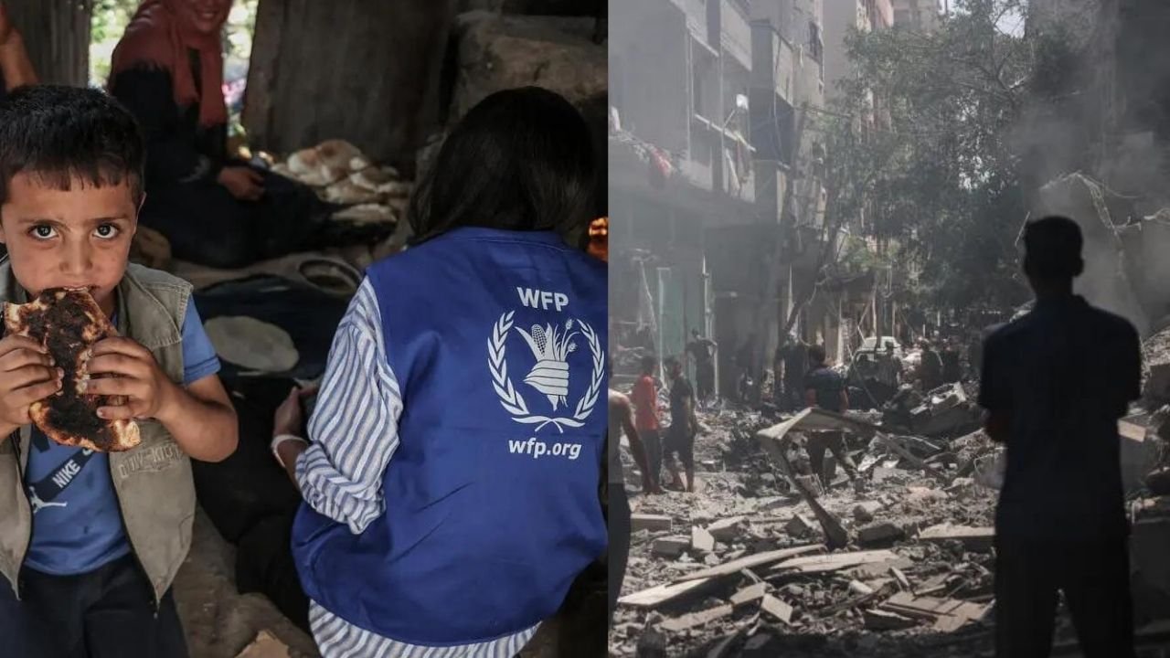 World Food Program suspends aid in Gaza after Israel killed 274 Palestinians