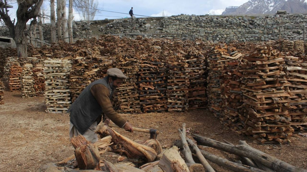 Complete ban on cutting of forests, transportation of timber in Khyber Pakhtunkhwa