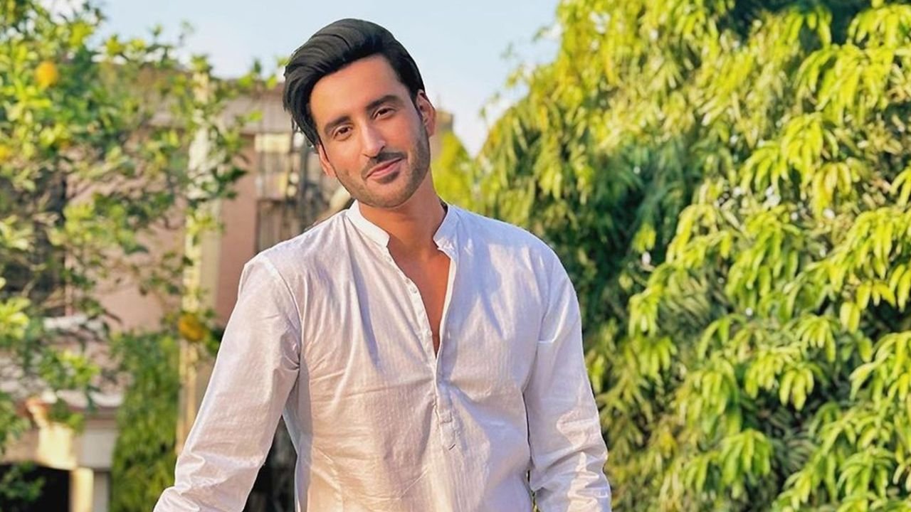 Girls prefer wealth over love: Agha Ali