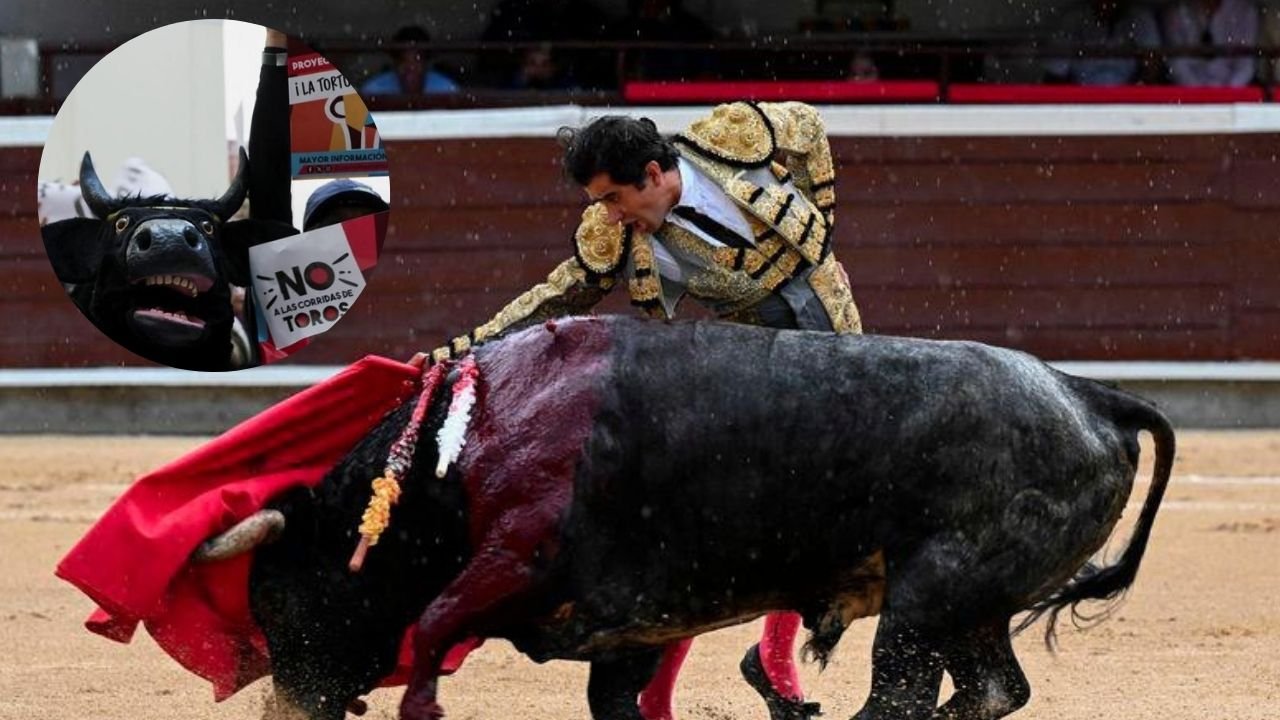 Colombia president enacts law banning bullfighting