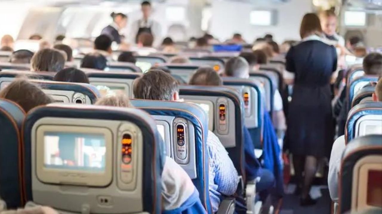 American flight makes emergency landing after lice spotted in woman’s hair