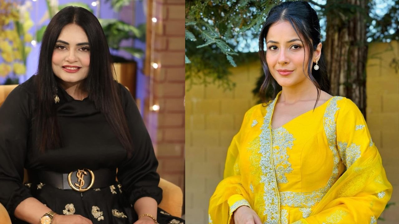 Can Emaan Fatima fill in Shehnaaz Gill’s shoes?