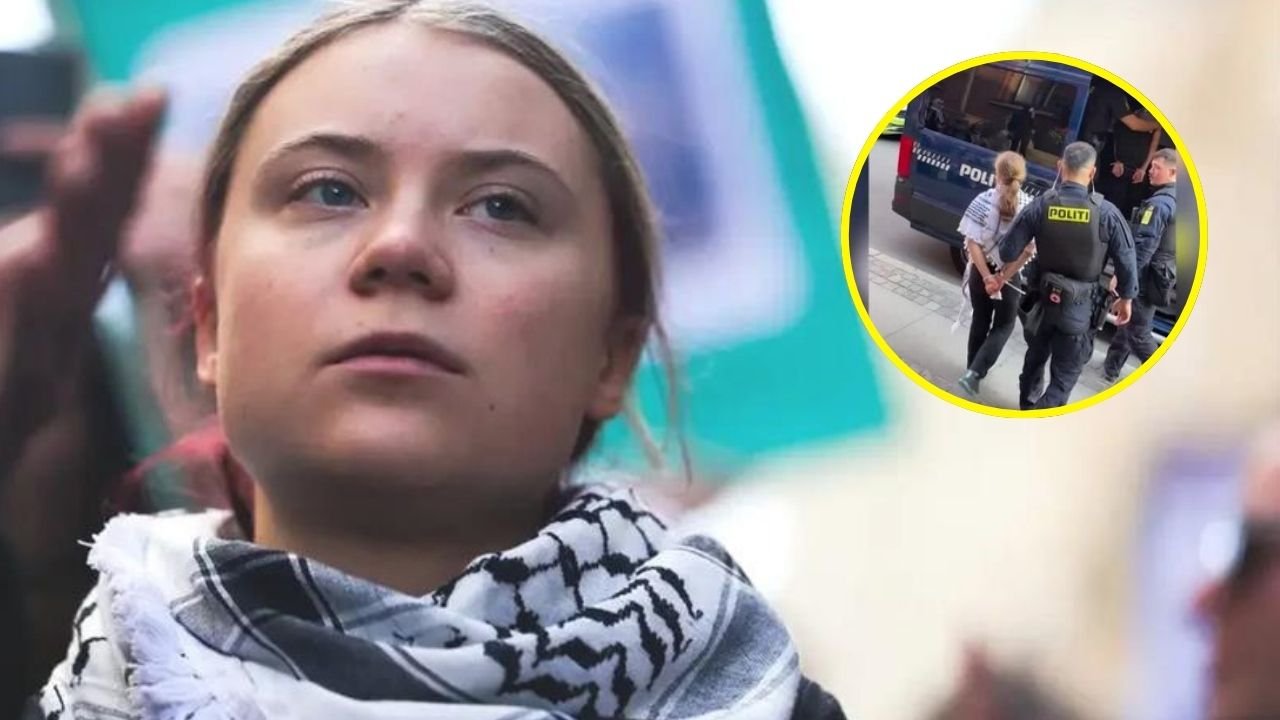 Greta Thunberg arrested at Pro-Palestinian demo in Denmark