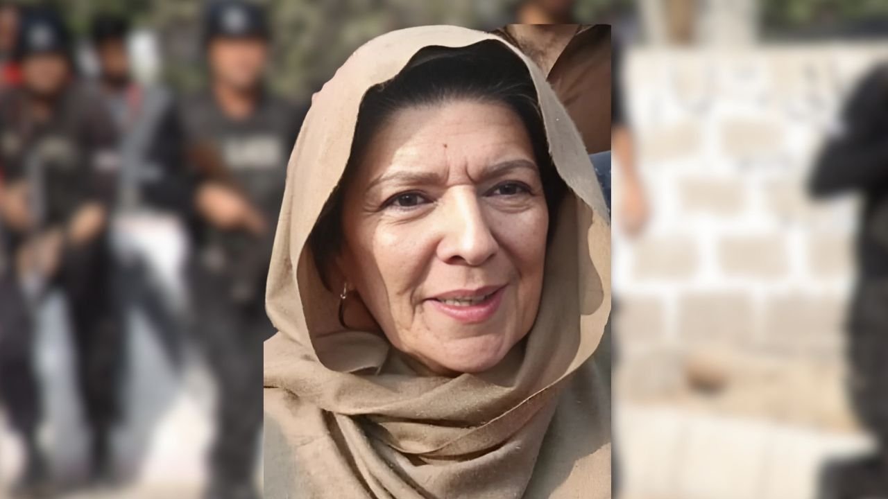 Aleema Khan reveals details of how she was arrested