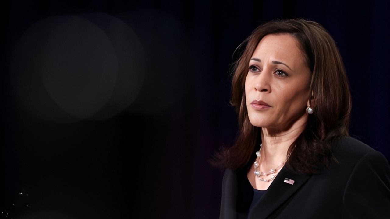 US Elections 2024: What caused Kamala Harris to lose?