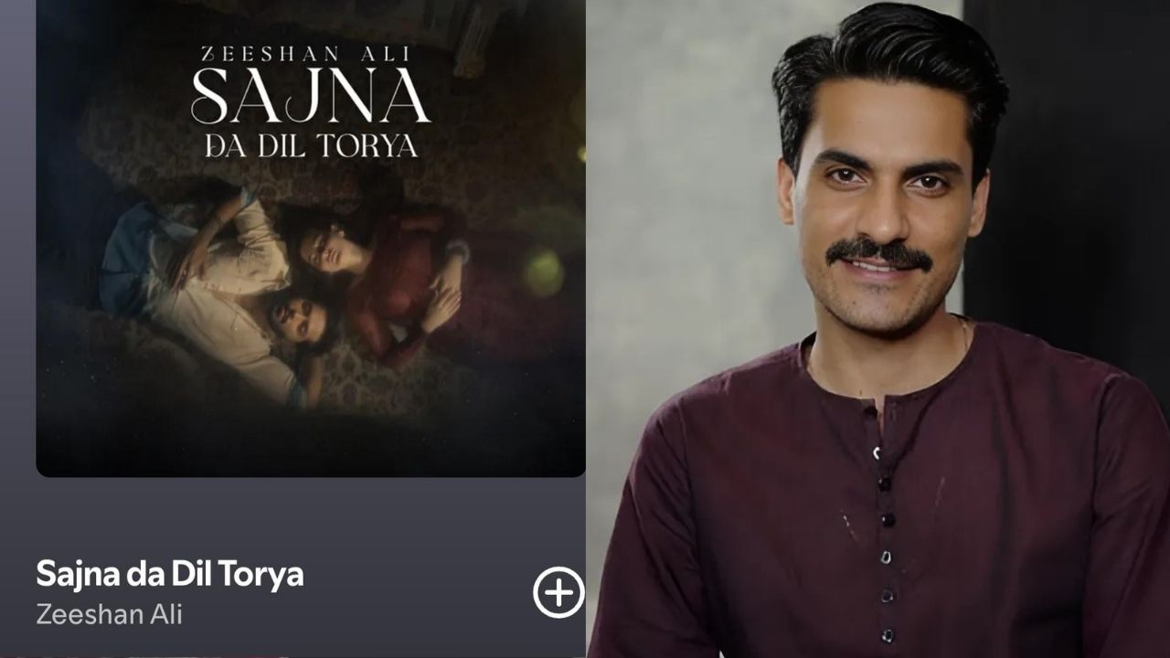 How Zeeshan Ali’s 10-year-old song turned into a hit on Kabhi Main Kabhi Tu