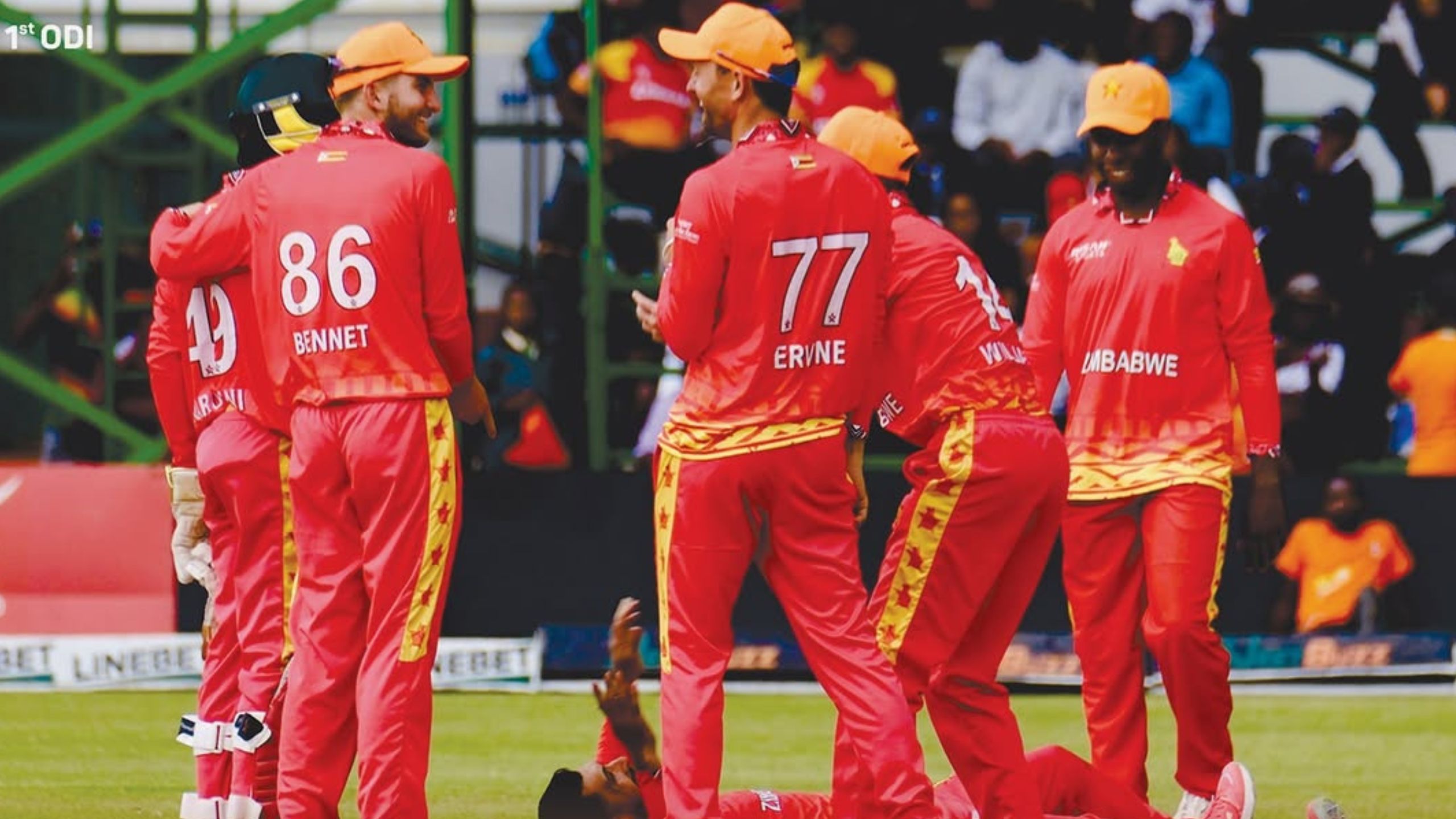 1st ODI: Zimbabwe defeat Pakistan by 80 runs under DLS method